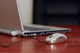 Webseminare